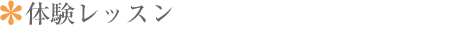 体験レッスン