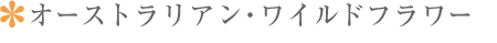 オーストラリアン・ワイルドフラワーについて